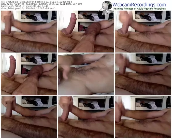 chaturbate-birchtree-webcam-show-11_04_2016-13_24_16