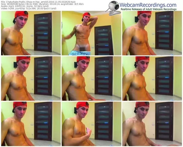 chaturbate-hey_arnold-webcam-show-11_05_2016-00_24_28