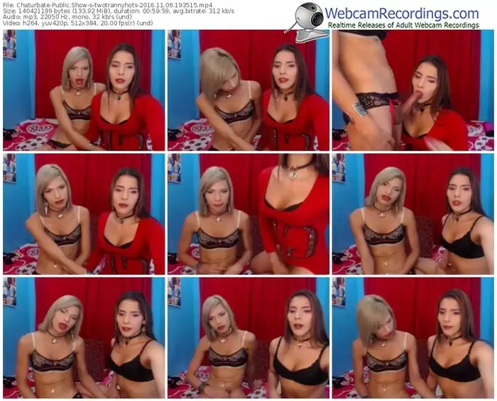 chaturbate-twotrannyhots-webcam-show-11_06_2016-19_35_15