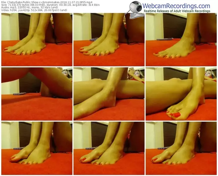 chaturbate-cbroommates-webcam-show-11_07_2016-21_28_55