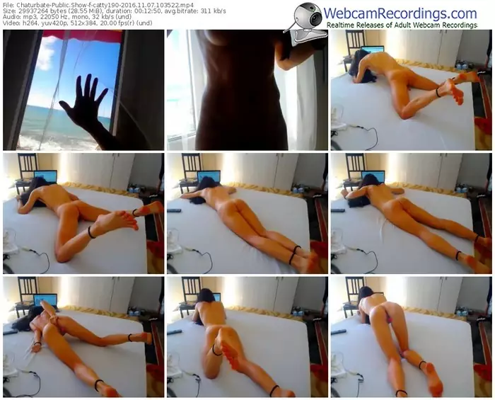 chaturbate-catty190-webcam-show-11_07_2016-10_35_22