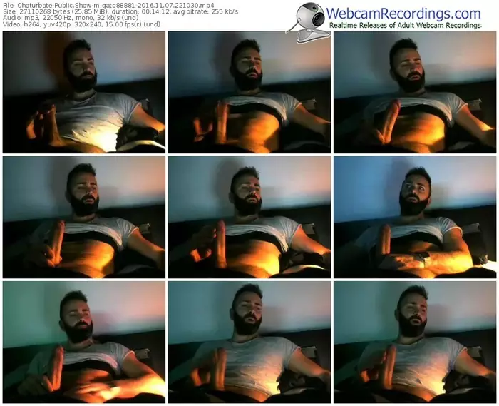 chaturbate-gato88881-webcam-show-11_07_2016-22_10_30