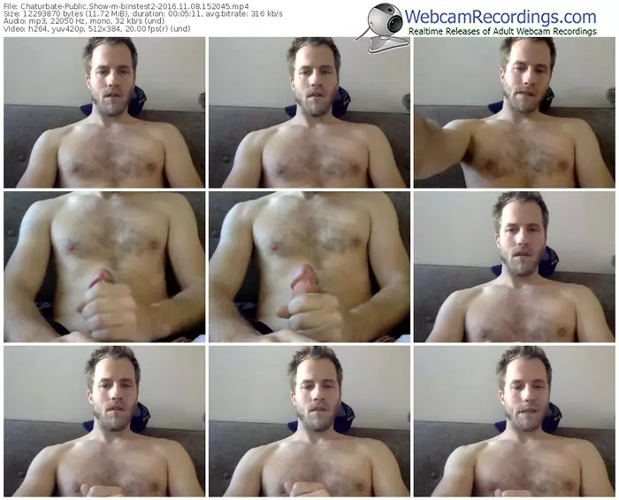 chaturbate-binstest2-webcam-show-11_08_2016-15_20_45