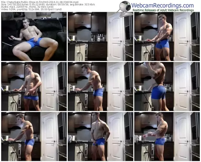 chaturbate-finch93-webcam-show-11_08_2016-03_40_34