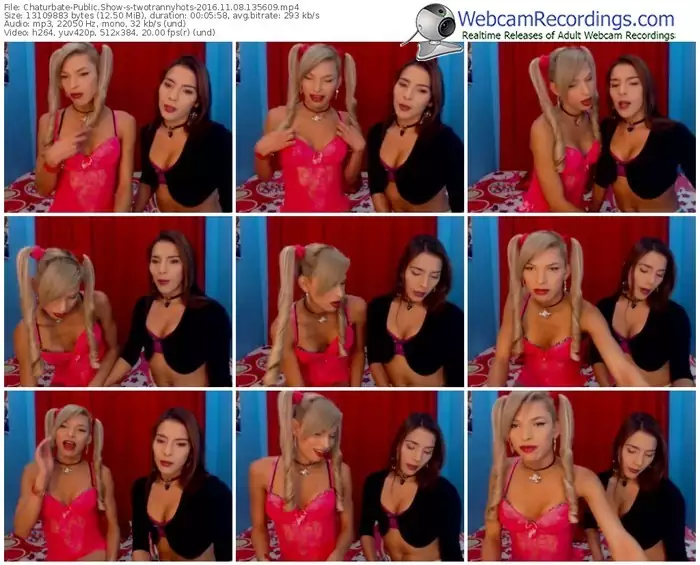 chaturbate-twotrannyhots-webcam-show-11_08_2016-13_56_09