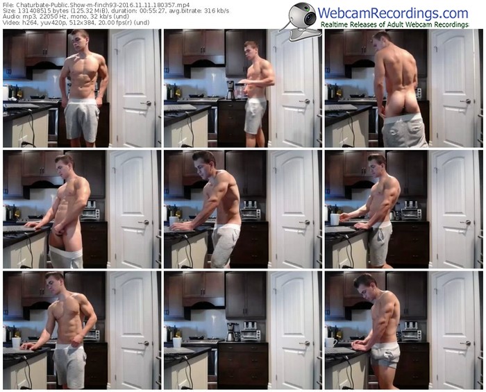 chaturbate-finch93-webcam-show-11_11_2016-18_03_57