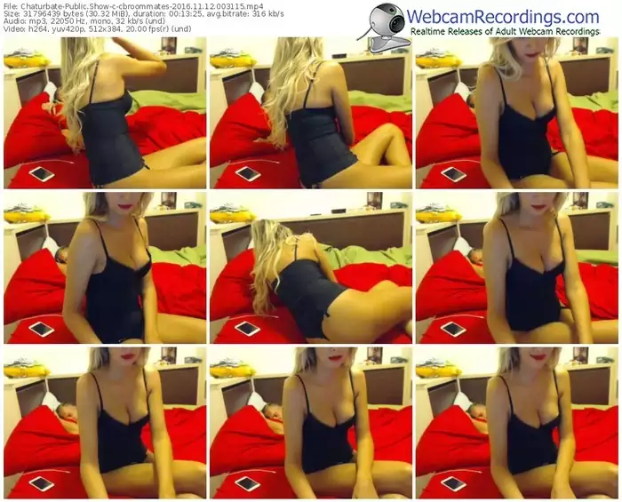 chaturbate-cbroommates-webcam-show-11_12_2016-00_31_15