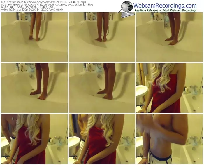 chaturbate-cbroommates-webcam-show-11_12_2016-14_01_33