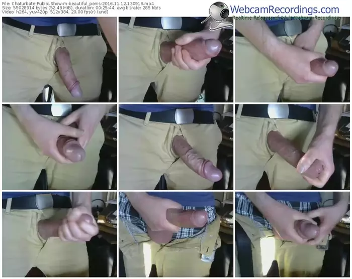 chaturbate-beautiful_penis-webcam-show-11_12_2016-13_09_16