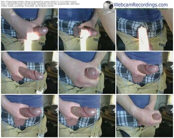 chaturbate-beautiful_penis-webcam-show-11_12_2016-13_39_17