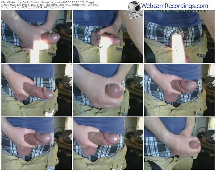 chaturbate-beautiful_penis-webcam-show-11_12_2016-13_39_17