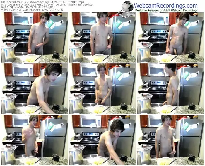 chaturbate-bosboy321-webcam-show-11_13_2016-02_04_28