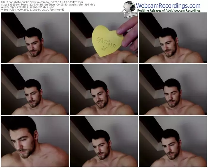 chaturbate-romeo_ib-webcam-show-11_13_2016-00_34_26