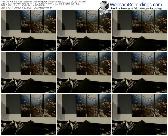 chaturbate-thedevingardnerexpierience-webcam-show-11_13_2016-11_24_34