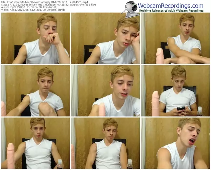 chaturbate-aronjay2th1-webcam-show-11_14_2016-02_49_51