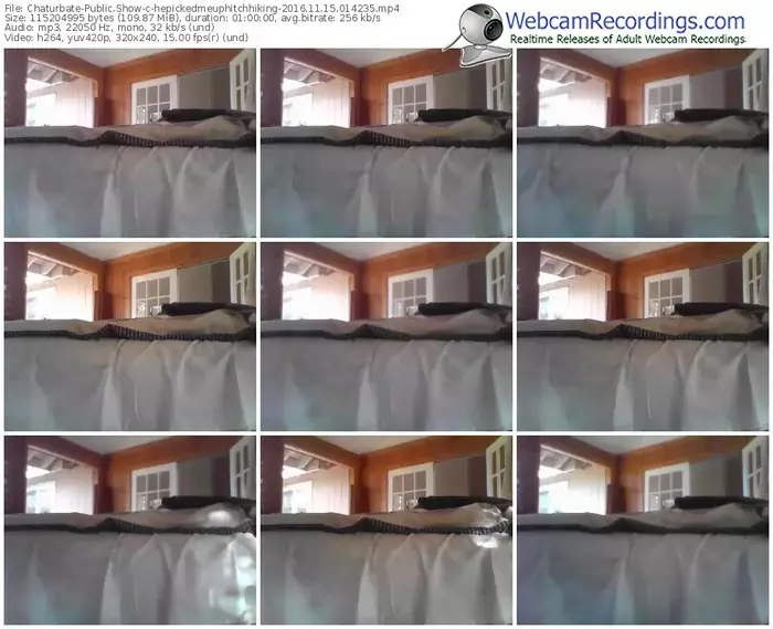 chaturbate-hepickedmeuphitchhiking-webcam-show-11_15_2016-01_42_35