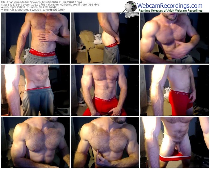 chaturbate-_hotr0d-webcam-show-11_16_2016-03_46_17
