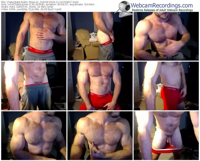 chaturbate-_hotr0d-webcam-show-11_16_2016-03_46_17