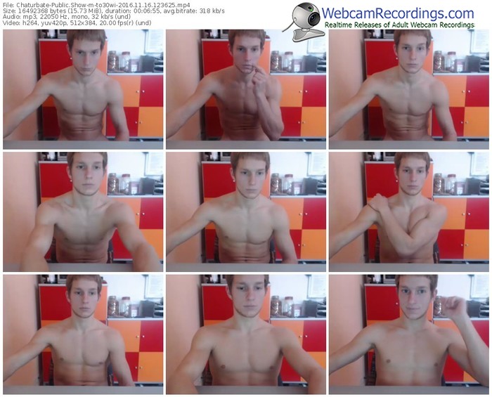 chaturbate-to30wi-webcam-show-11_16_2016-12_36_25