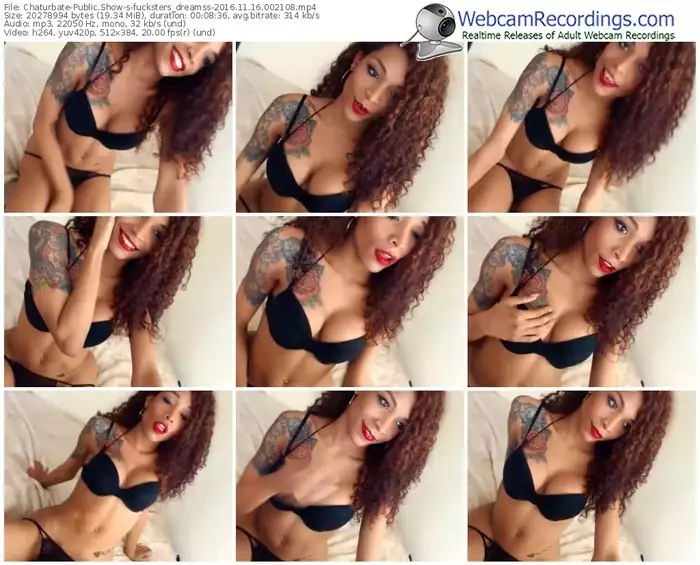 chaturbate-fucksters_dreamss-webcam-show-11_16_2016-00_21_08