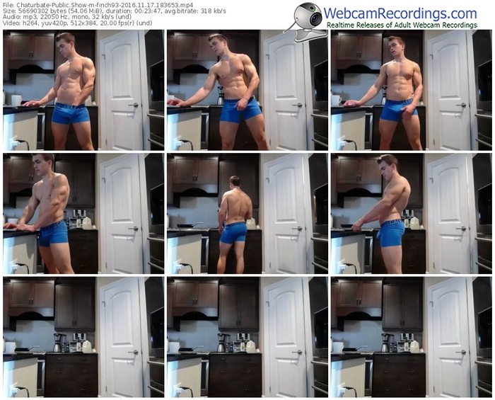 chaturbate-finch93-webcam-show-11_17_2016-18_36_53