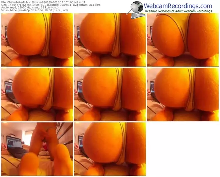 chaturbate-896089-webcam-show-11_17_2016-10_51_42