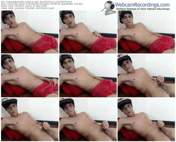 chaturbate-new_david-webcam-show-11_18_2016-03_40_54