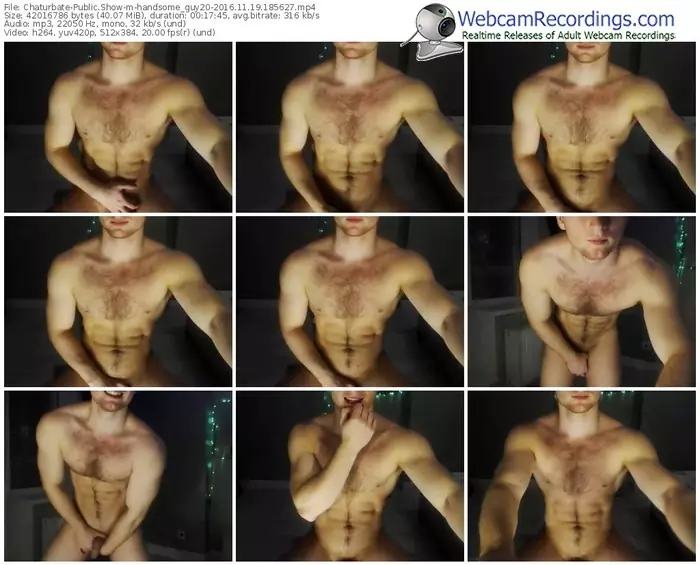 chaturbate-handsome_guy20-webcam-show-11_19_2016-18_56_27