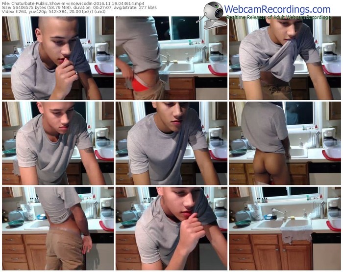 chaturbate-vincevicodin-webcam-show-11_19_2016-04_46_14