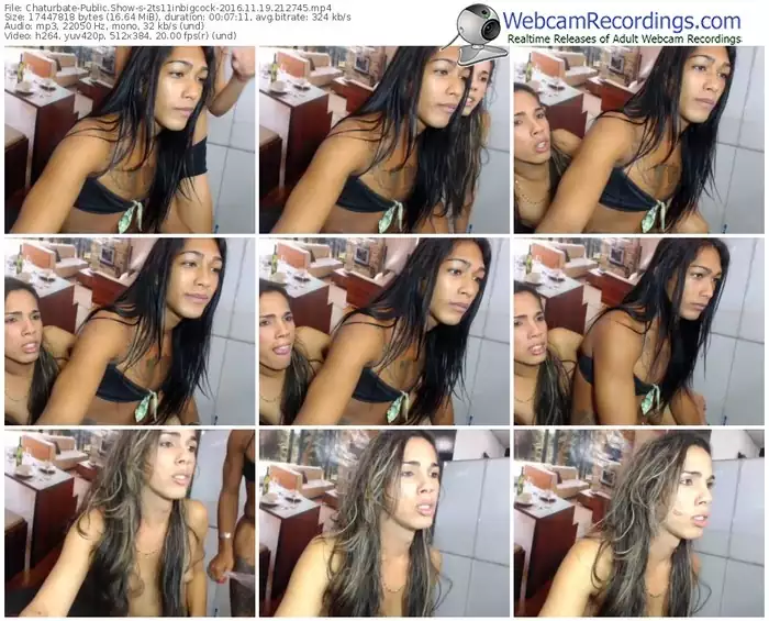 chaturbate-2ts11inbigcock-webcam-show-11_19_2016-21_27_45