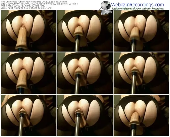 chaturbate-analpro1-webcam-show-11_19_2016-04_37_26