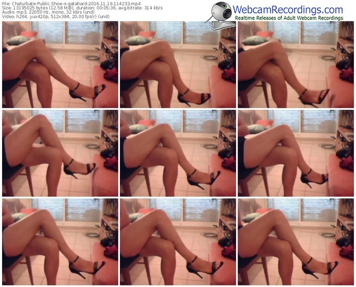 chaturbate-gatahard-webcam-show-11_19_2016-11_42_33