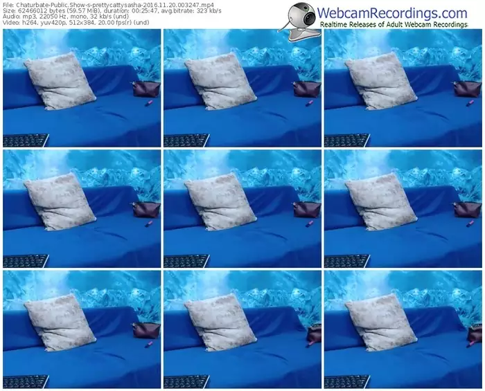 chaturbate-prettycattysasha-webcam-show-11_20_2016-00_32_47