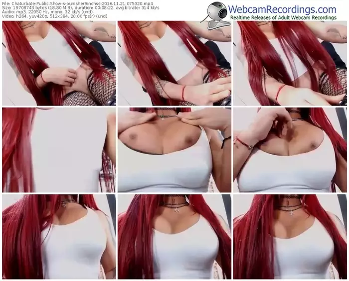 chaturbate-punisher9inchss-webcam-show-11_21_2016-07_53_20