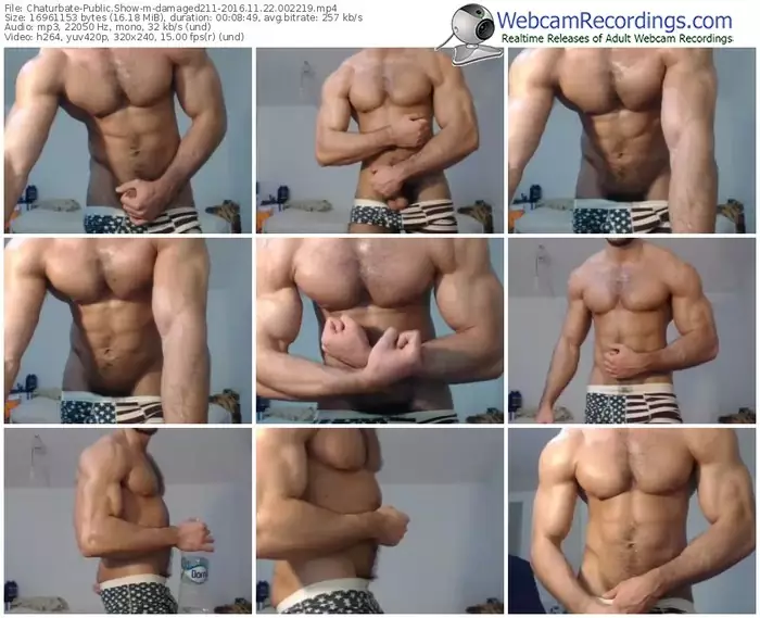 chaturbate-damaged211-webcam-show-11_22_2016-00_22_19