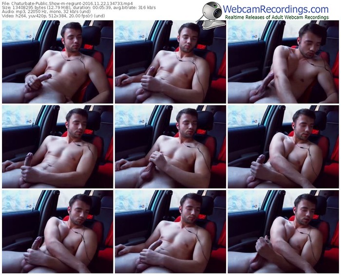 chaturbate-regiunt-webcam-show-11_22_2016-13_47_33