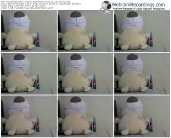 chaturbate-badboss13-webcam-show-11_23_2016-11_57_52