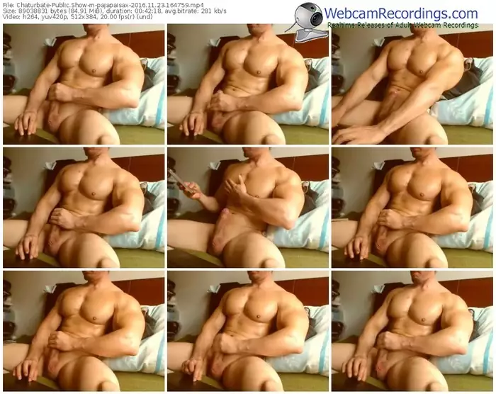 chaturbate-pajapaisax-webcam-show-11_23_2016-16_47_59