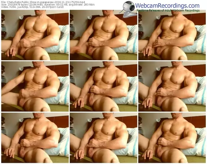 chaturbate-pajapaisax-webcam-show-11_23_2016-17_52_59