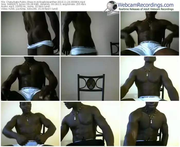 chaturbate-mrbigdickpanther-webcam-show-11_24_2016-00_08_04