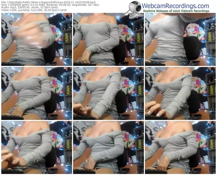 chaturbate-biggcock4foryou-webcam-show-11_24_2016-01_54_28