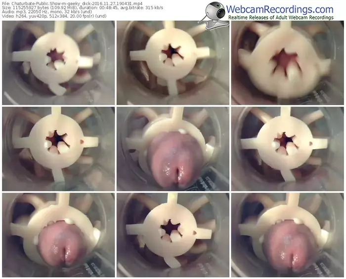 chaturbate-geeky_dick-webcam-show-11_27_2016-19_04_31