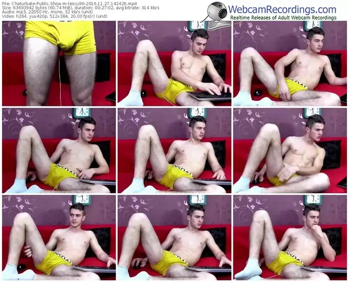 chaturbate-lescu96-webcam-show-11_27_2016-14_24_26