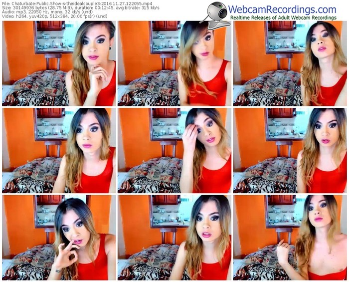 chaturbate-theidealcouple3-webcam-show-11_27_2016-12_20_55