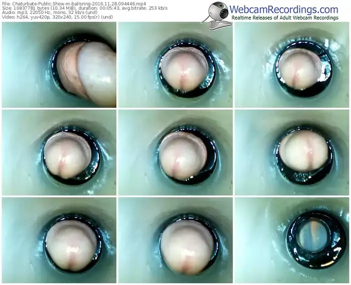 chaturbate-ballsring-webcam-show-11_28_2016-09_44_46