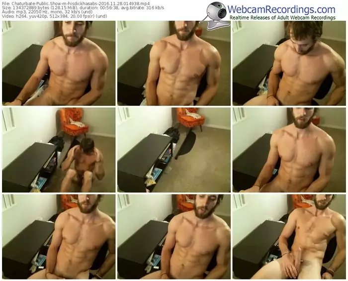 chaturbate-hisdickhasabs-webcam-show-11_28_2016-01_49_38