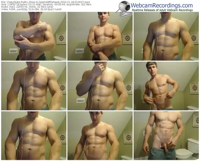 chaturbate-legendofthehawk-webcam-show-11_28_2016-01_04_37