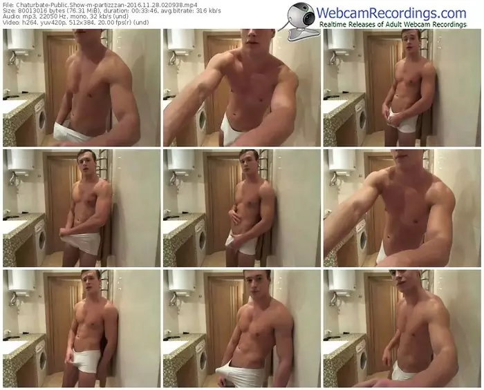 chaturbate-partizzzan-webcam-show-11_28_2016-02_09_38