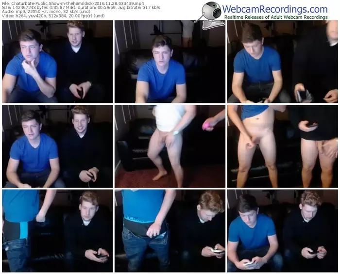 chaturbate-thehamildick-webcam-show-11_28_2016-03_34_39