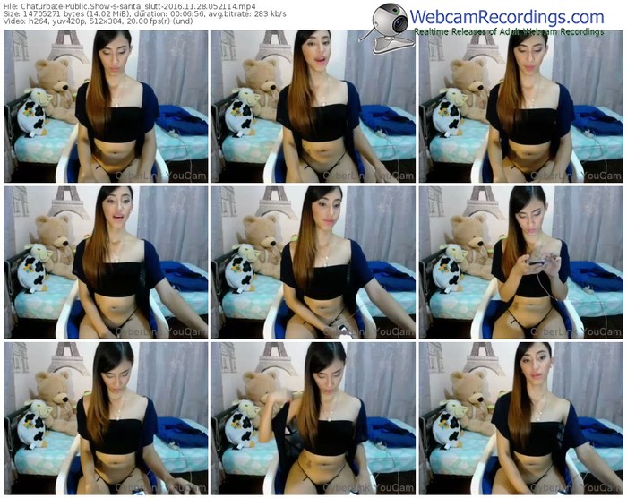chaturbate-sarita_slutt-webcam-show-11_28_2016-05_21_14